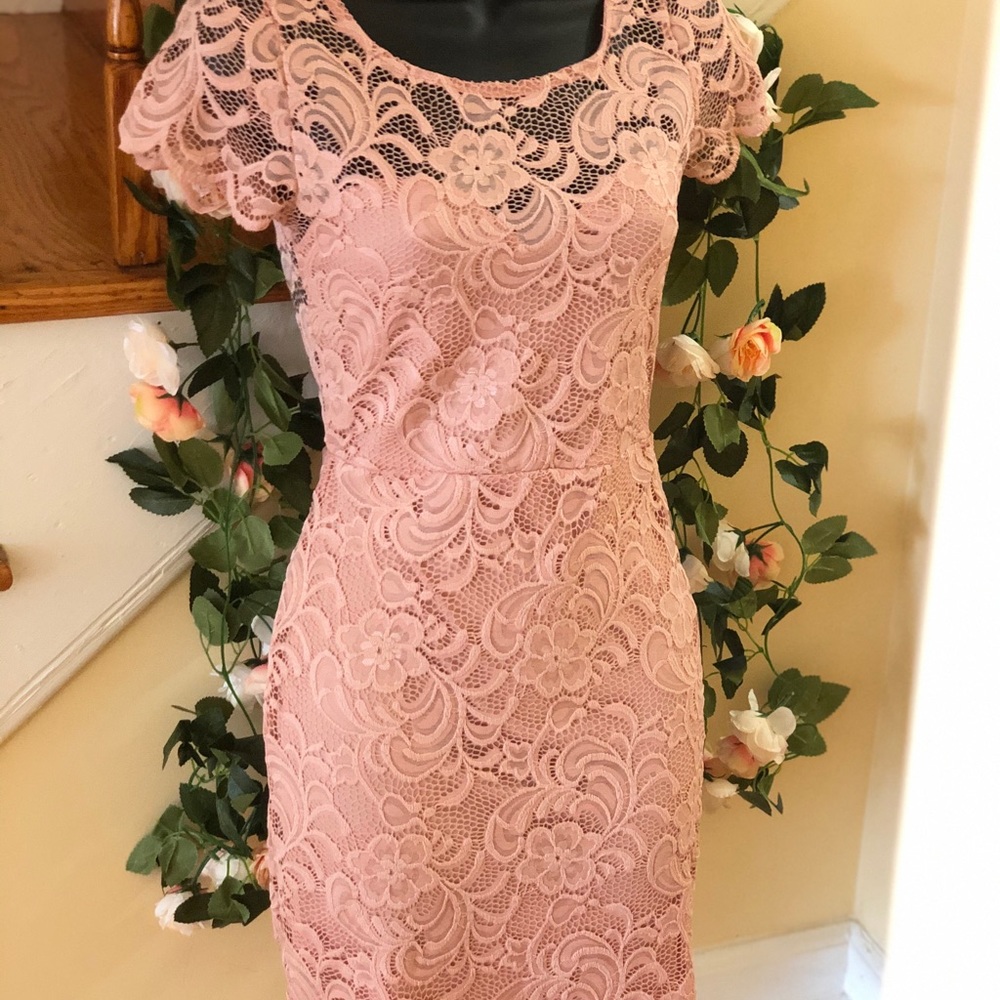 Blush Laced/Crochet Midi Dress - Picture 4 of 12